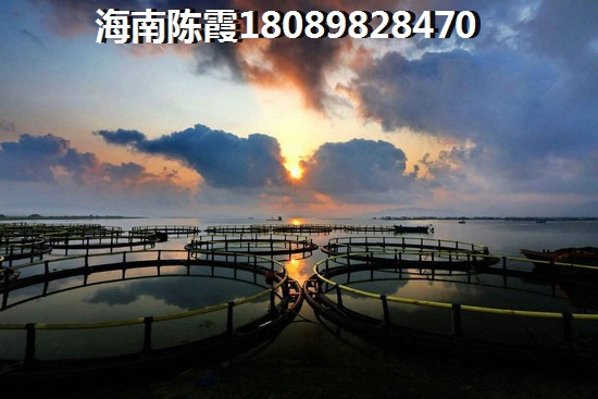 上城名都海景房的优势和不足