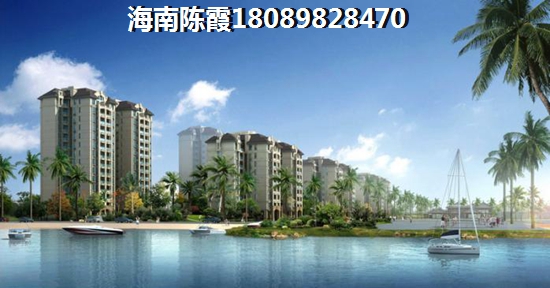 海口XG政策