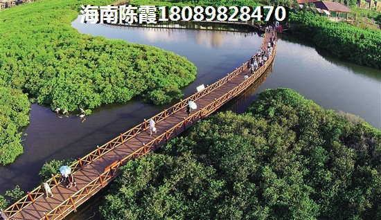 海南海口是不是很潮湿