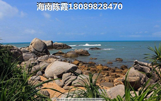 海南中基美域