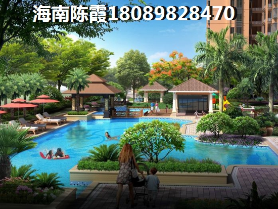 海南全域XG政策