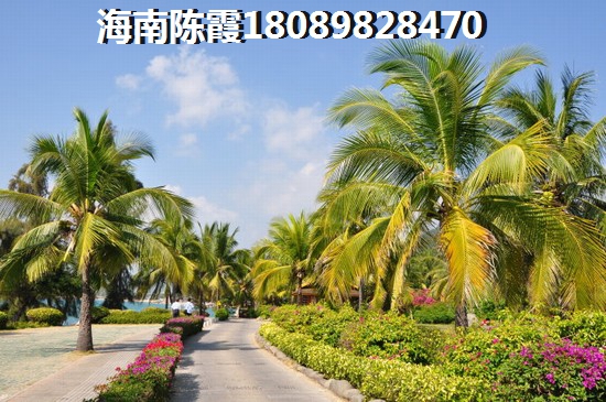 海南海口房价为啥涨这么快