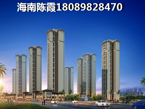 碧桂园半岛南湾能不能生纸