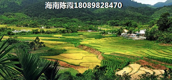 先别问海口西海岸的房价多少 先别问海口西海岸的房价多少