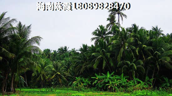 海南海口龙华区能touzi房价多少钱一平方？1
