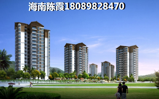 >2023海口购房解读