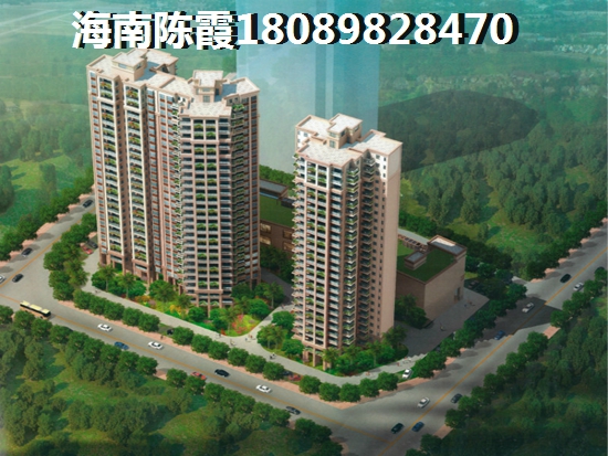 小白“候鸟”老人也能买增纸房