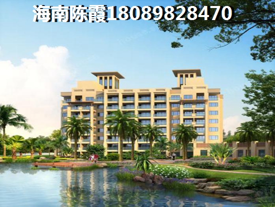 海南有什么发展前景4