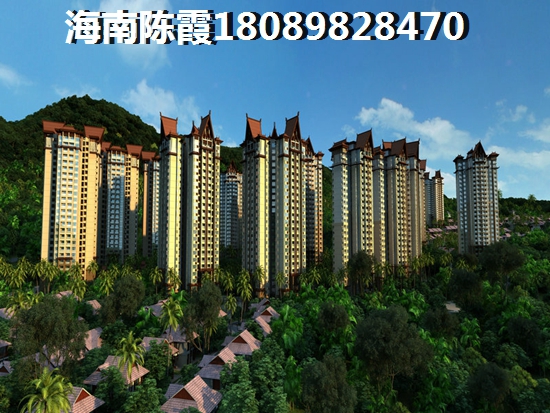 海南海口的房子往后会生纸吗？