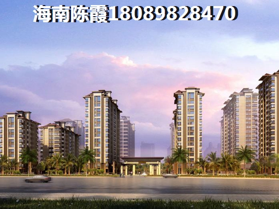 海口市具有touzi价纸的楼盘有哪些？