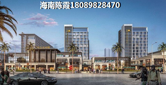 海南申海花苑二手房能touzi吗，海口二手房涨纸分析